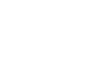 Stargaze Embroidery Studio